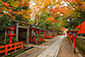 八坂神社　紅葉　画像