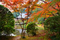 長岳寺の紅葉写真