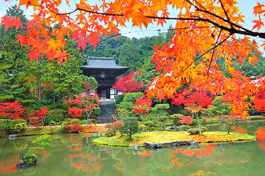 �~�����@�g�t