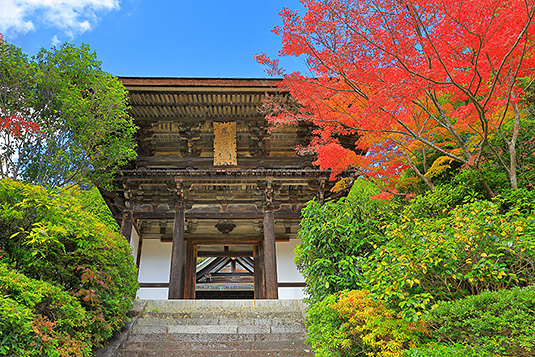 �~�����@�g�t�@����