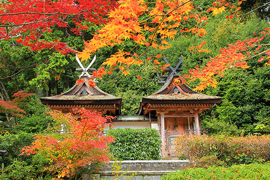 �~�����@�t�����@���R���@�g�t