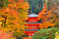 岩船寺の秋写真