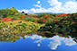 奈良公園　依水園　紅葉