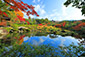 奈良公園　依水園　紅葉　池泉回遊式庭園