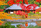 浄瑠璃寺の秋
