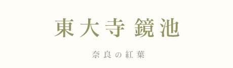 厛r