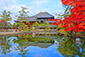 東大寺　鏡池　紅葉　高画質画像