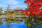 奈良公園　鏡池　紅葉　見頃　時期