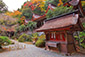 g쐅_Ё@gt@