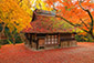 奈良　水谷茶屋　紅葉　見頃