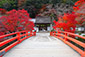 室生寺の紅葉写真