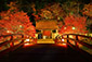室生寺の紅葉ライトアップ