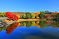 奈良公園　池　紅葉