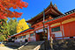 奈良公園　手向山八幡宮　紅葉
