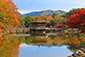 池　紅葉　奈良公園