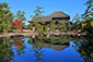 奈良公園　鏡池　紅葉