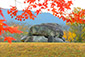 奈良　古墳　史跡　紅葉