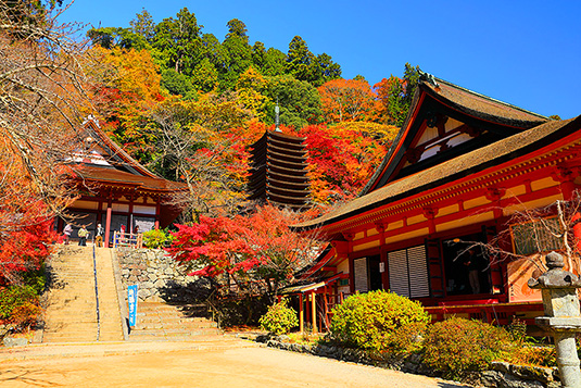 談山神社　紅葉　蹴鞠の庭