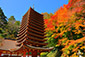 奈良の談山神社