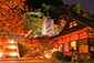 奈良の紅葉ライトアップ