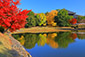東大寺　池の紅葉