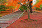 東大寺　散り紅葉