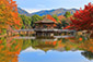 奈良公園　浮見堂の紅葉