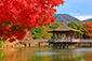 奈良公園　浮見堂　秋　高解像画像