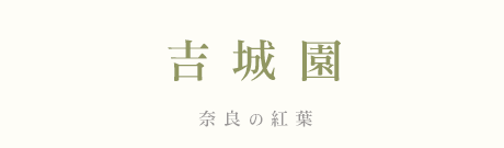 g鉀@gt