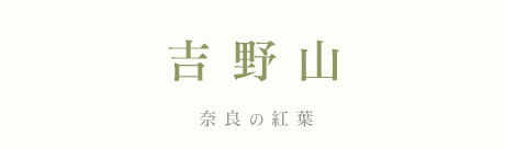 g@gt