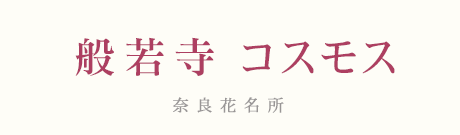 ʎ᎛@RXX