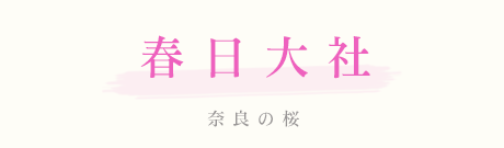 tЁ@