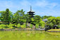 興福寺　猿沢池
