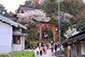 吉野水分神社　桜　写真