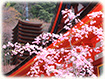 kR_Ё@@ޗǍs