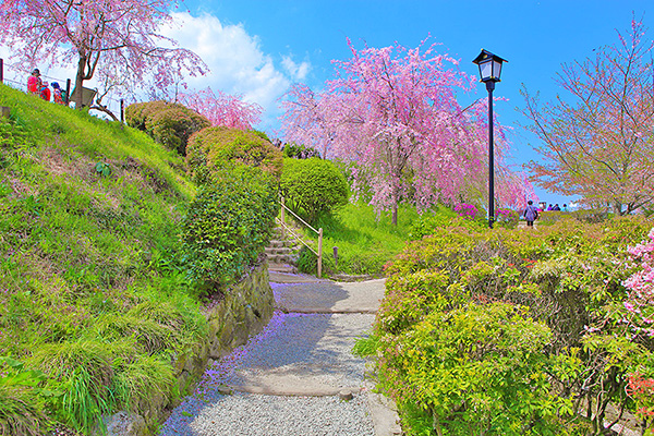 ��_�_�Ё@���@���掿�摜