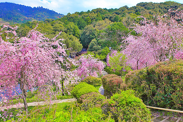 ��_�_�Ё@���@�O�֎R