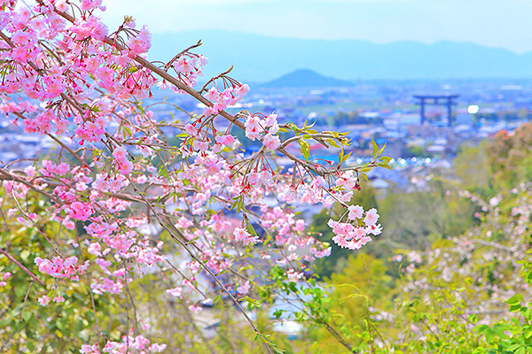 ��_�_�Ё@������@��̒���