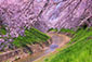 ې@@掿@ʐ^