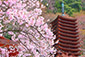 kR_Ѝ