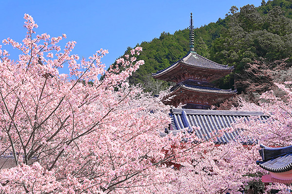 �ٍ㎛�@���@�O�d��