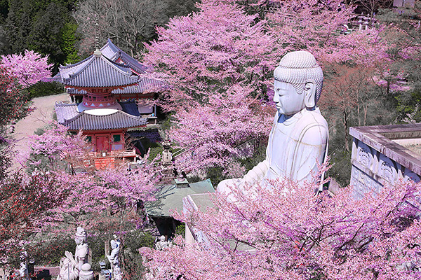 �ٍ㎛�@���@�摜