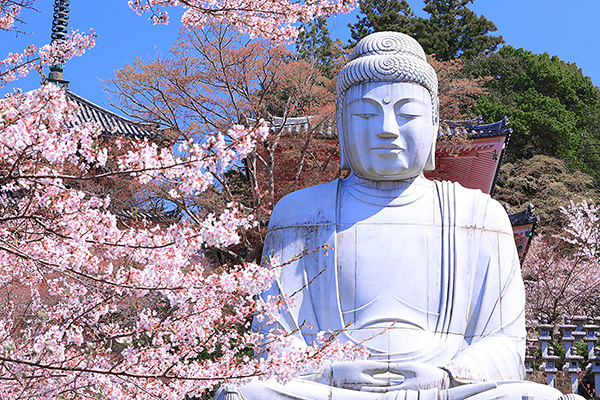 �ٍ㎛�@���@���掿�摜