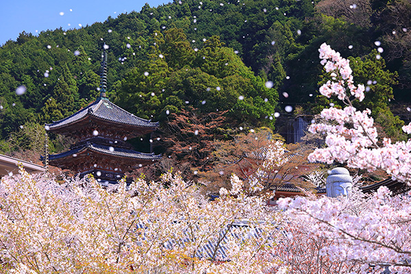 �ٍ㎛�@������