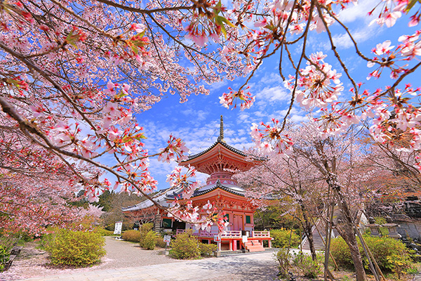 �ޗǁ@�ٍ㎛�@��