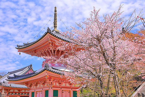 �ٍ㎛�@������