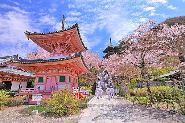 �ٍ㎛�@�t�@�摜