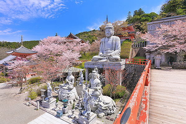 �ٍ㎛�@���摜