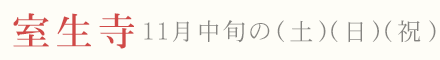 室生寺 紅葉 ライトアップ