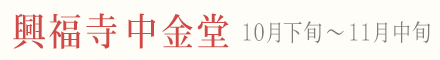 奈良 興福寺中金堂 ライトアップ